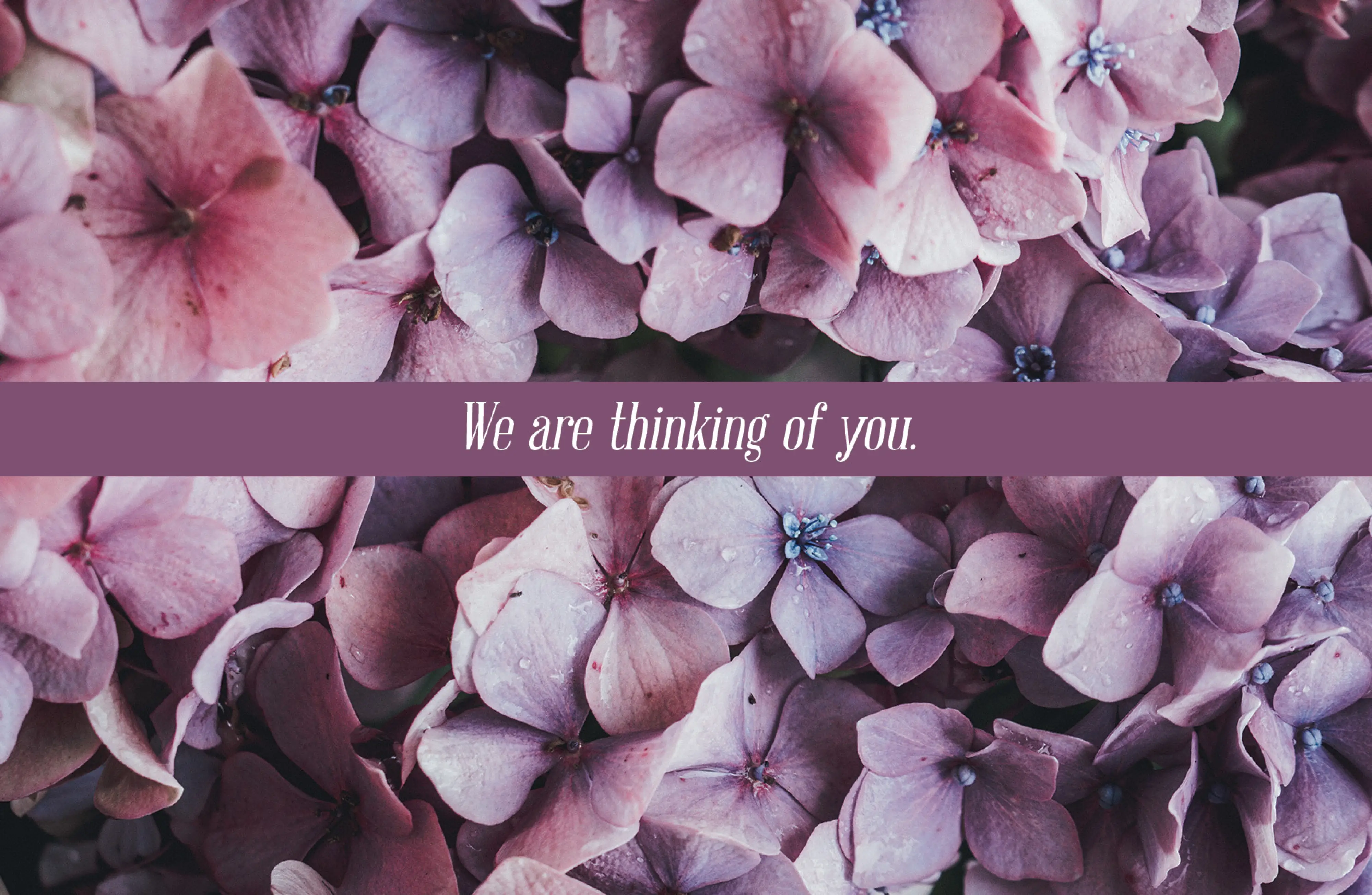 Concern Postcard: We Are Thinking of You (Package of 25)