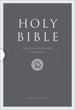 ESV Compact Bible Two-tone Imitation Leather British Text (Leather)