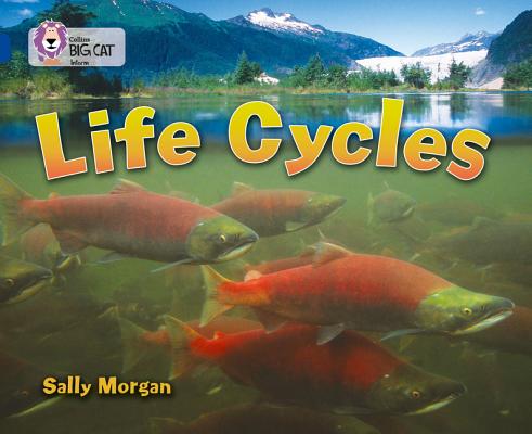 Life Cycles By Sally Morgan (Paperback) 9780007336401