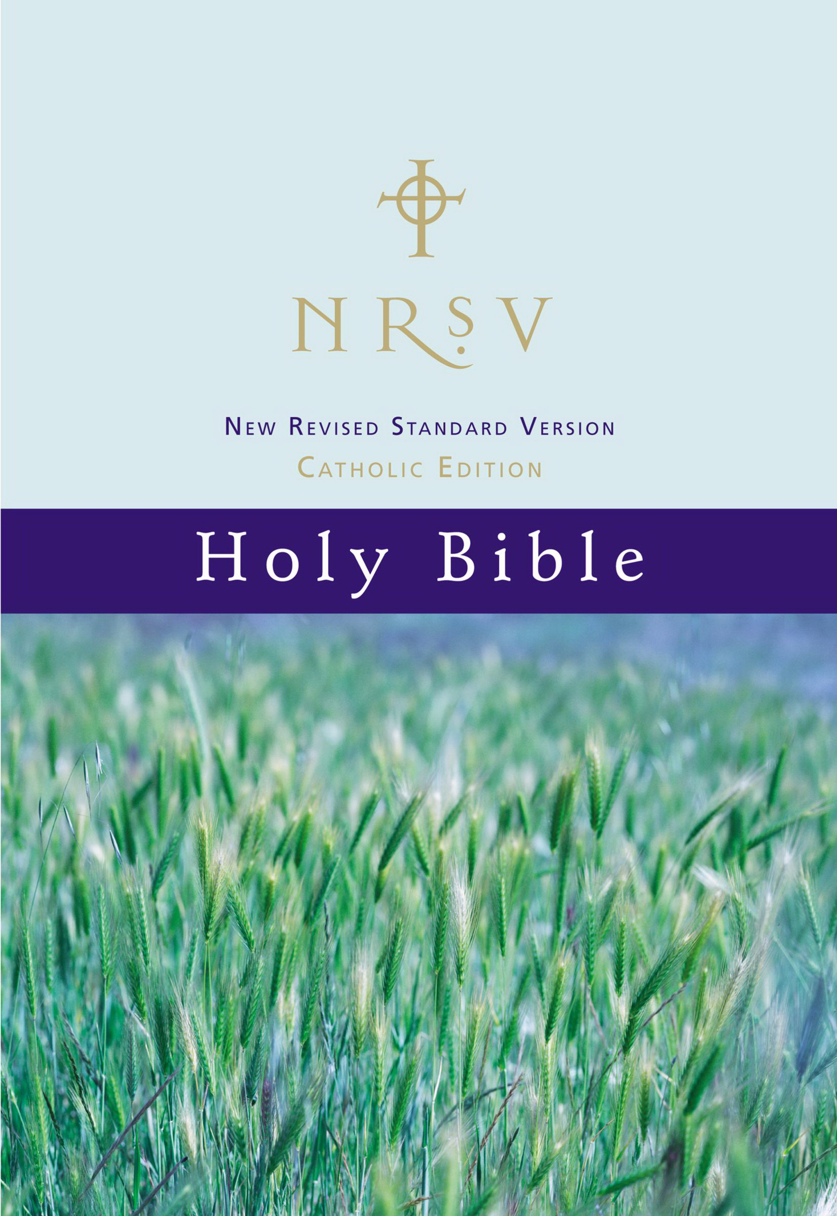 Nrsv Bible Catholic Edition Hardback By Zondervan Free Delivery