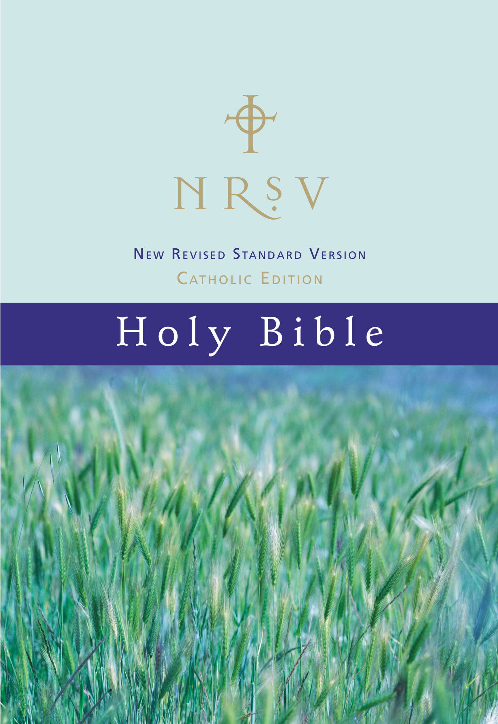 NRSV Bible Catholic Edition Paperback By Zondervan (Paperback)