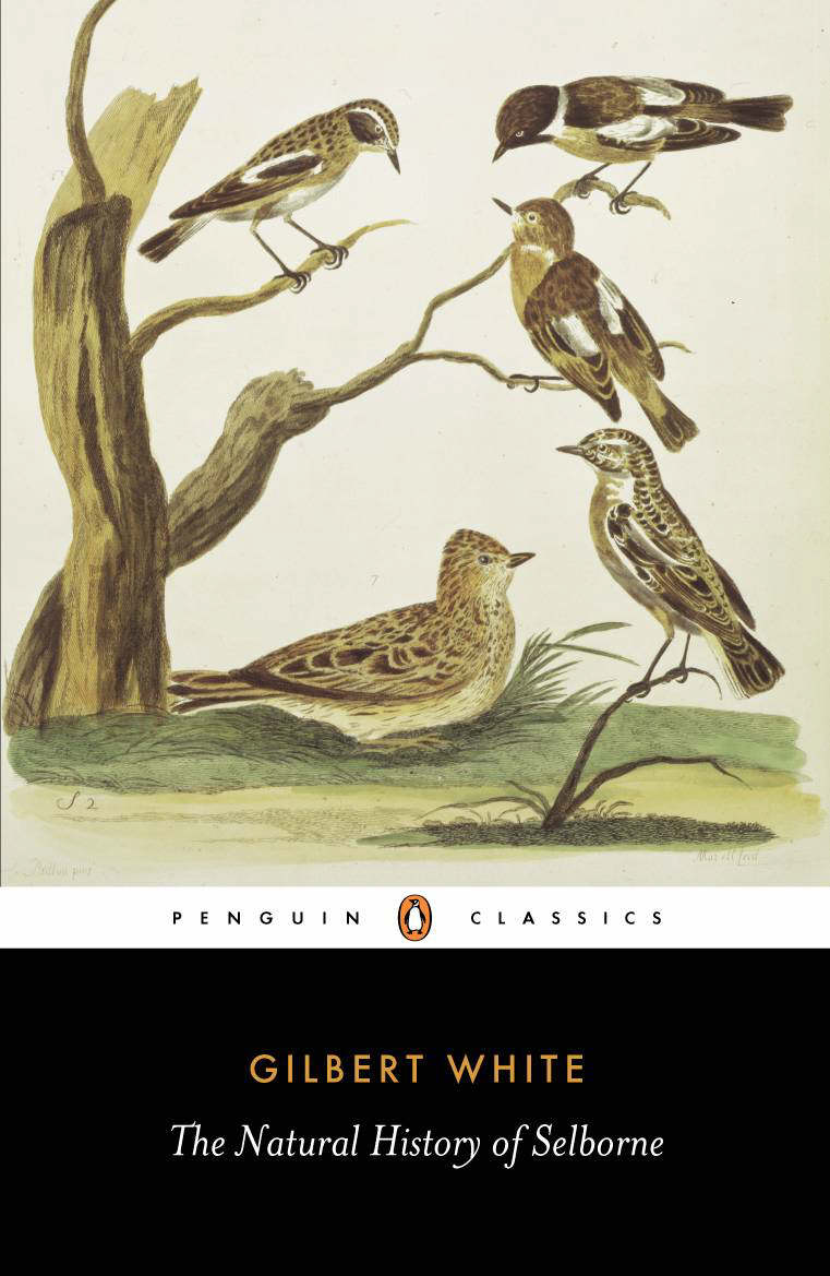 Natural History Of Selbourne By Gilbert White (Paperback)