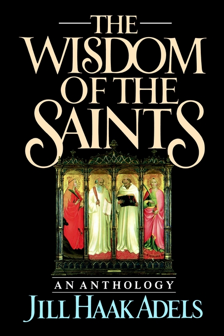 The Wisdom of the Saints By Jill Haak Adels (Paperback) 9780195059151