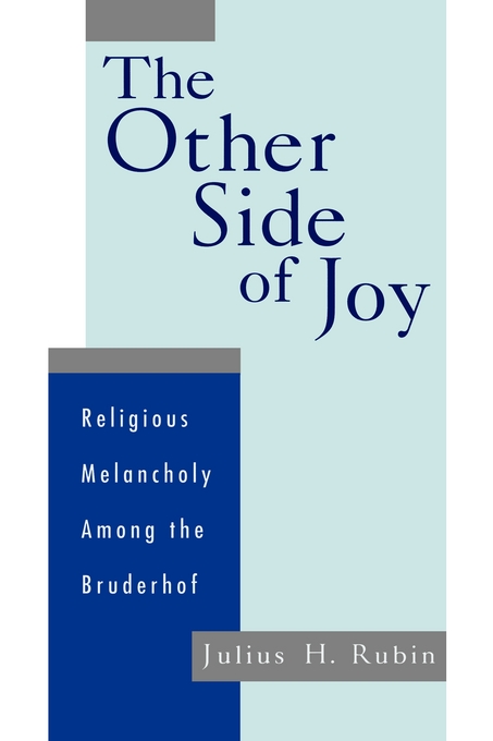 Other Side Of Joy By Julius H Rubin (Hardback) 9780195119435