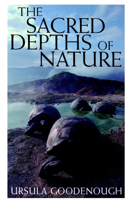 The Sacred Depths of Nature (Hardback) 9780195126136