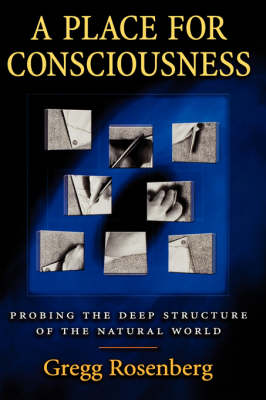 A Place for Consciousness By Gregg H Rosenberg (Hardback)