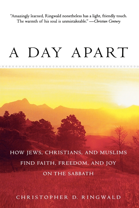 Day Apart By Christopher D Ringwald (Paperback) 9780195370195