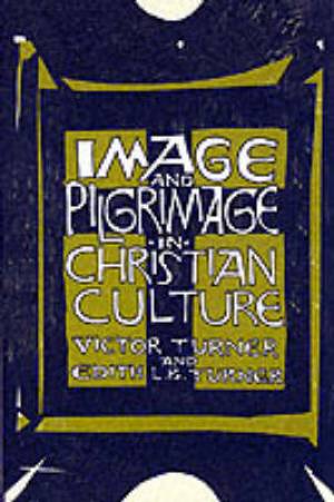 Image And Pilgrimage In Christian Culture (Paperback) 9780231042871