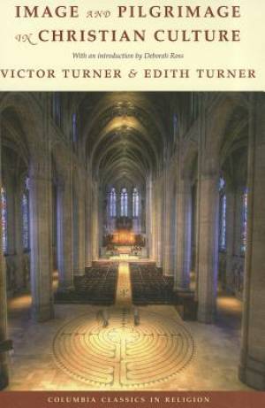 Image and Pilgrimage in Christian Culture (Paperback) 9780231157919