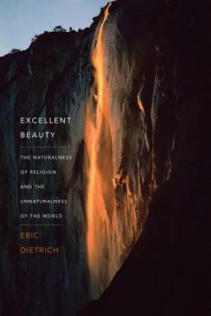 Excellent Beauty By Eric Dietrich (Hardback) 9780231171021