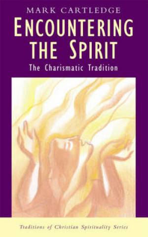 Encountering the Spirit By Mark Cartledge (Paperback) 9780232526158