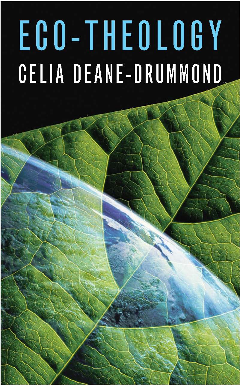 Eco Theology By Celia Deane-Drummond (Paperback) 9780232526165