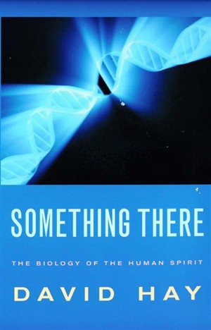 Something There By David Hay (Paperback) 9780232526370