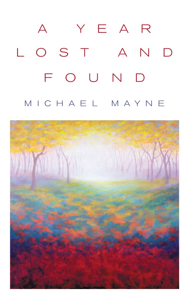 Year Lost And Found A By Michael Mayne (Paperback) 9780232527155