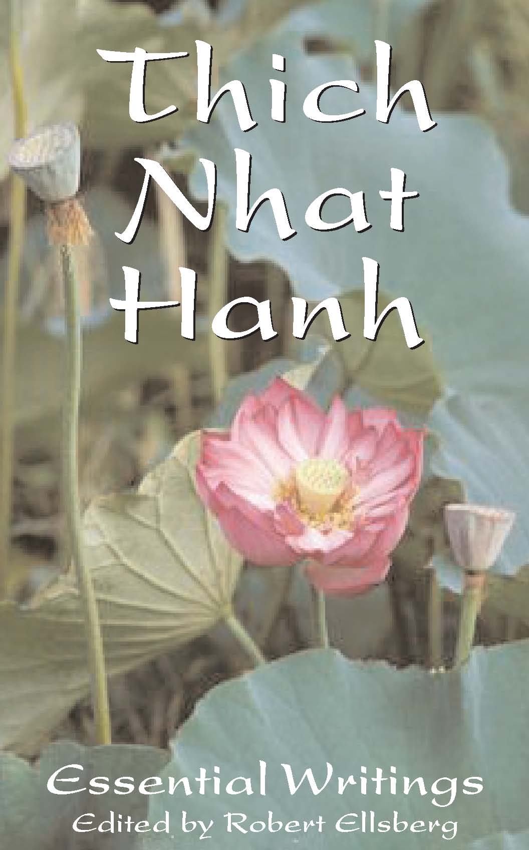 Thich Nhat Hanh By Thich Nhat Hanh (Paperback) 9780232527353