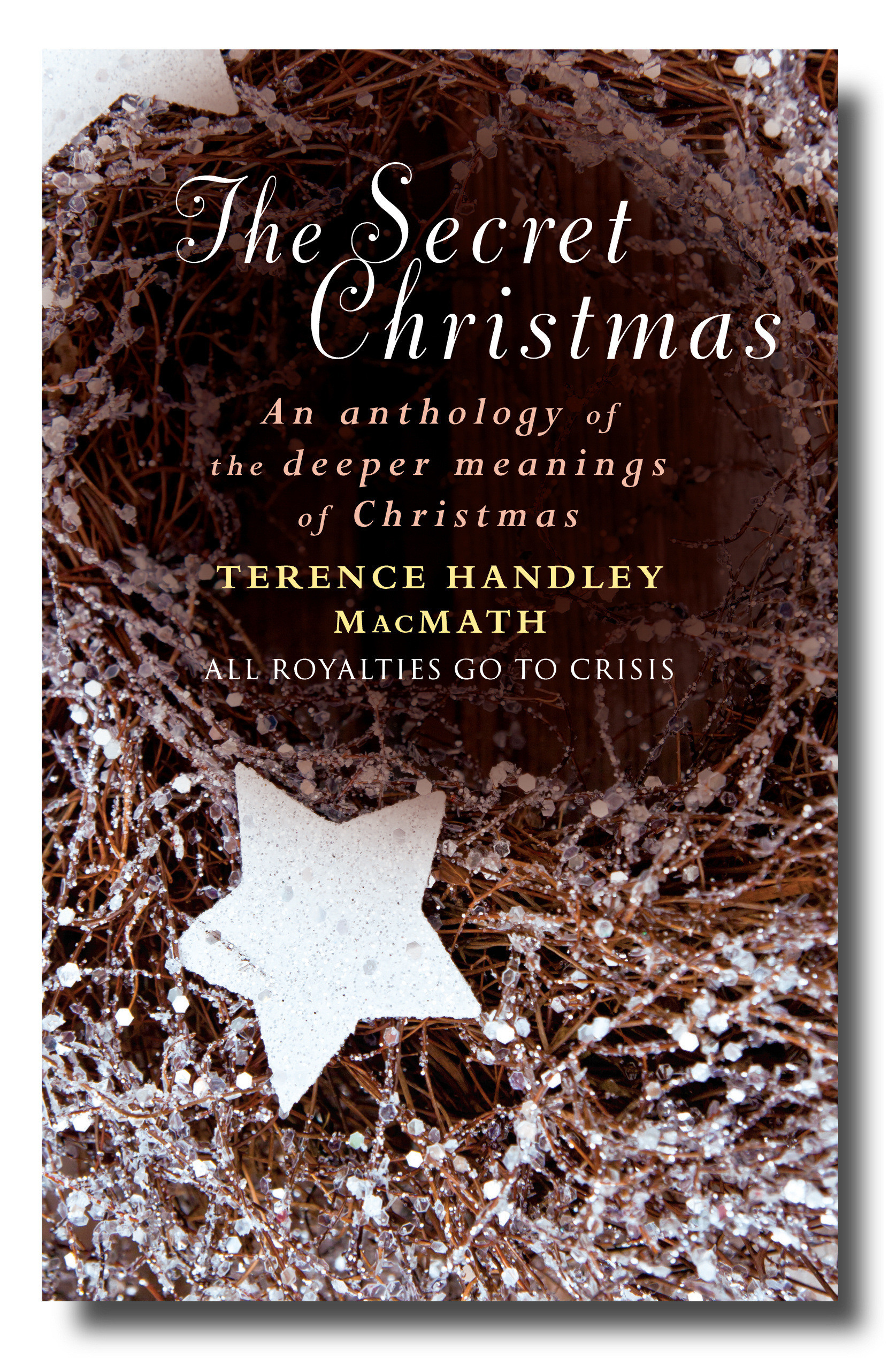 The Secret Christmas By Terence Handley Mac Math (Hardback)