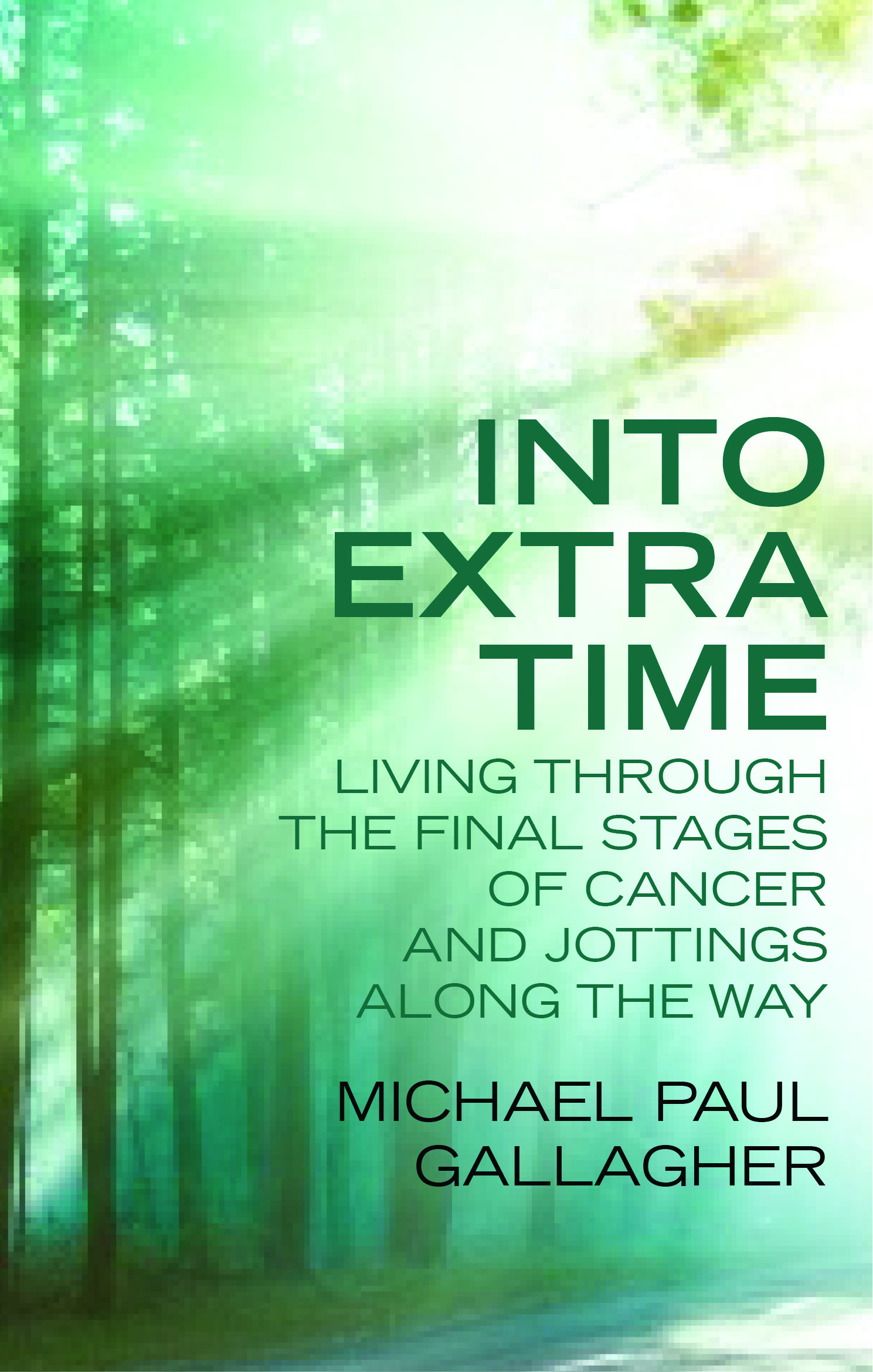 Into Extra Time By Michael Paul Gallagher (Paperback) 9780232532524