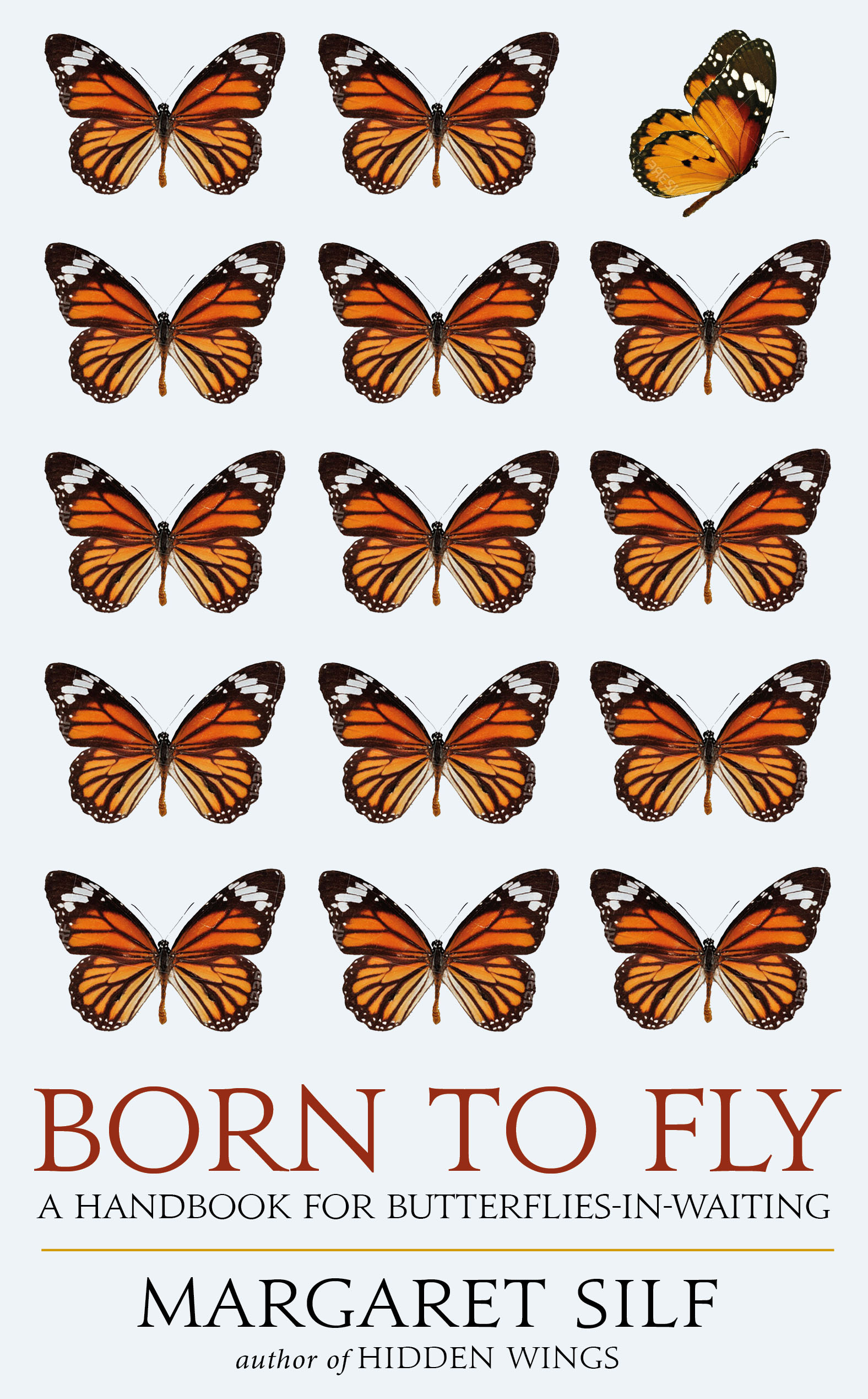 Born To Fly By Margaret Silf (Paperback) 9780232533316