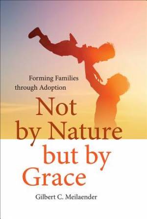 Not by Nature but by Grace By Gilbert C Meilaender (Hardback)