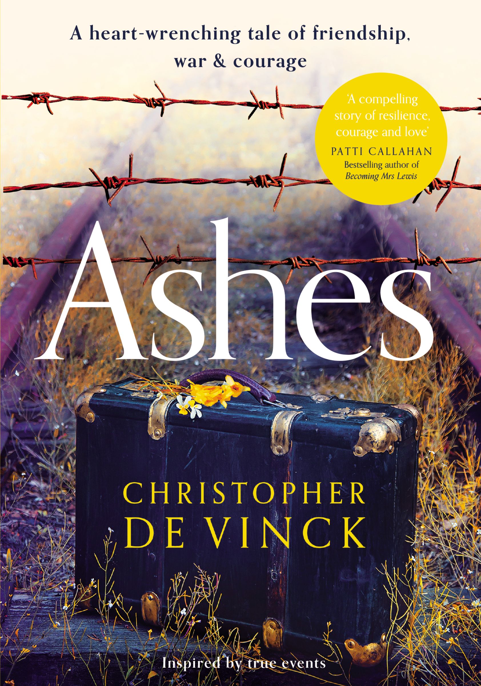 Ashes By Christopher De Vinck Free Delivery At Eden 9780310111986