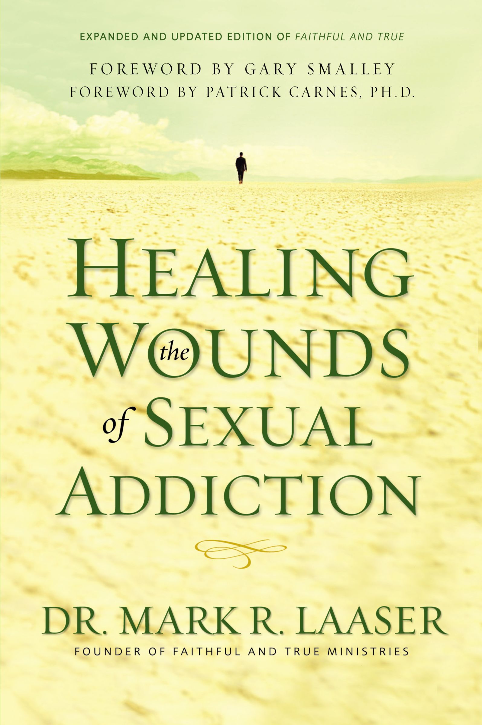 Healing The Wounds Of Sexual Addiction Paperback By Mark Laaser