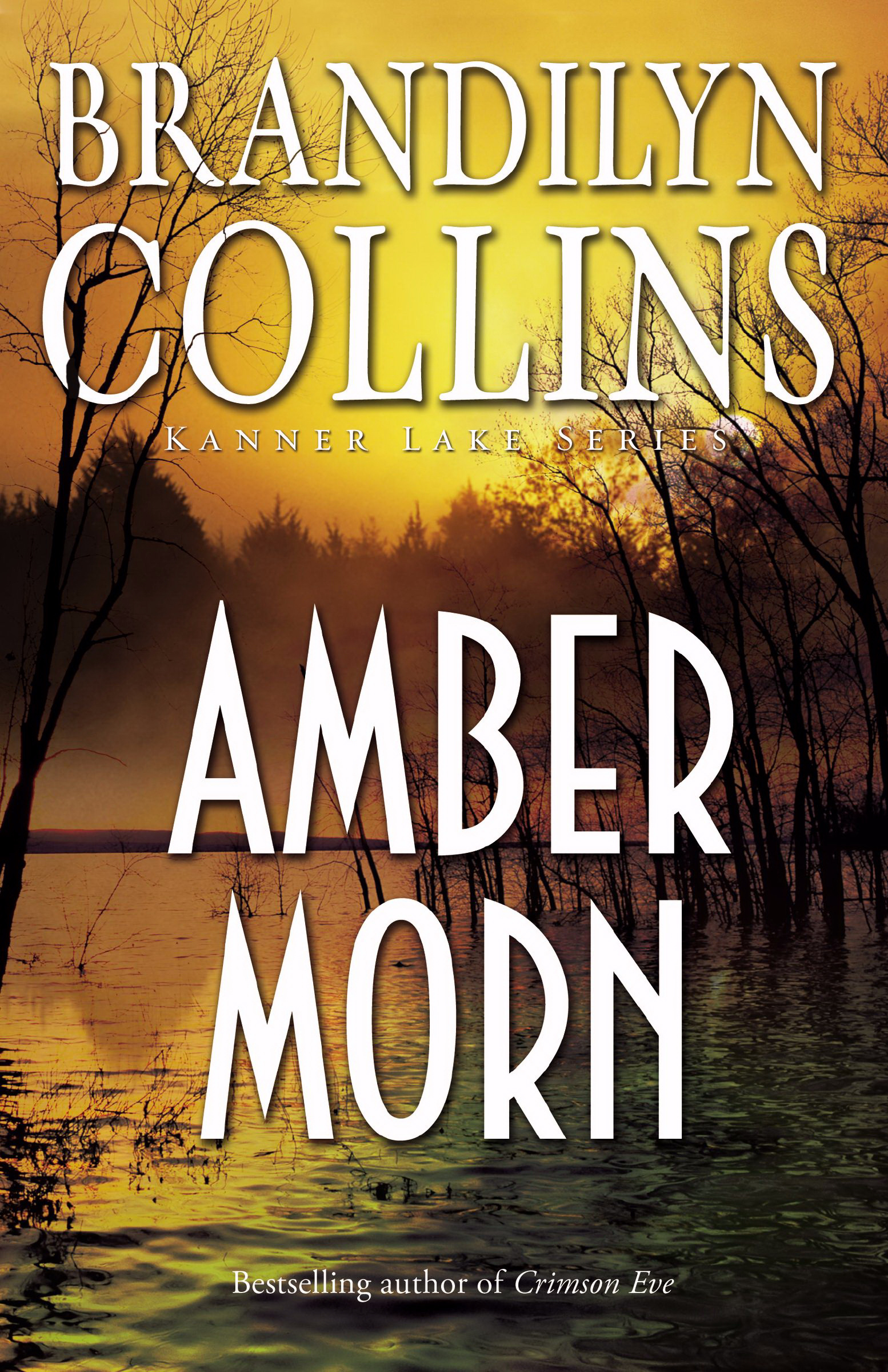 Amber Morn By Brandilyn Collins (Paperback) 9780310276418