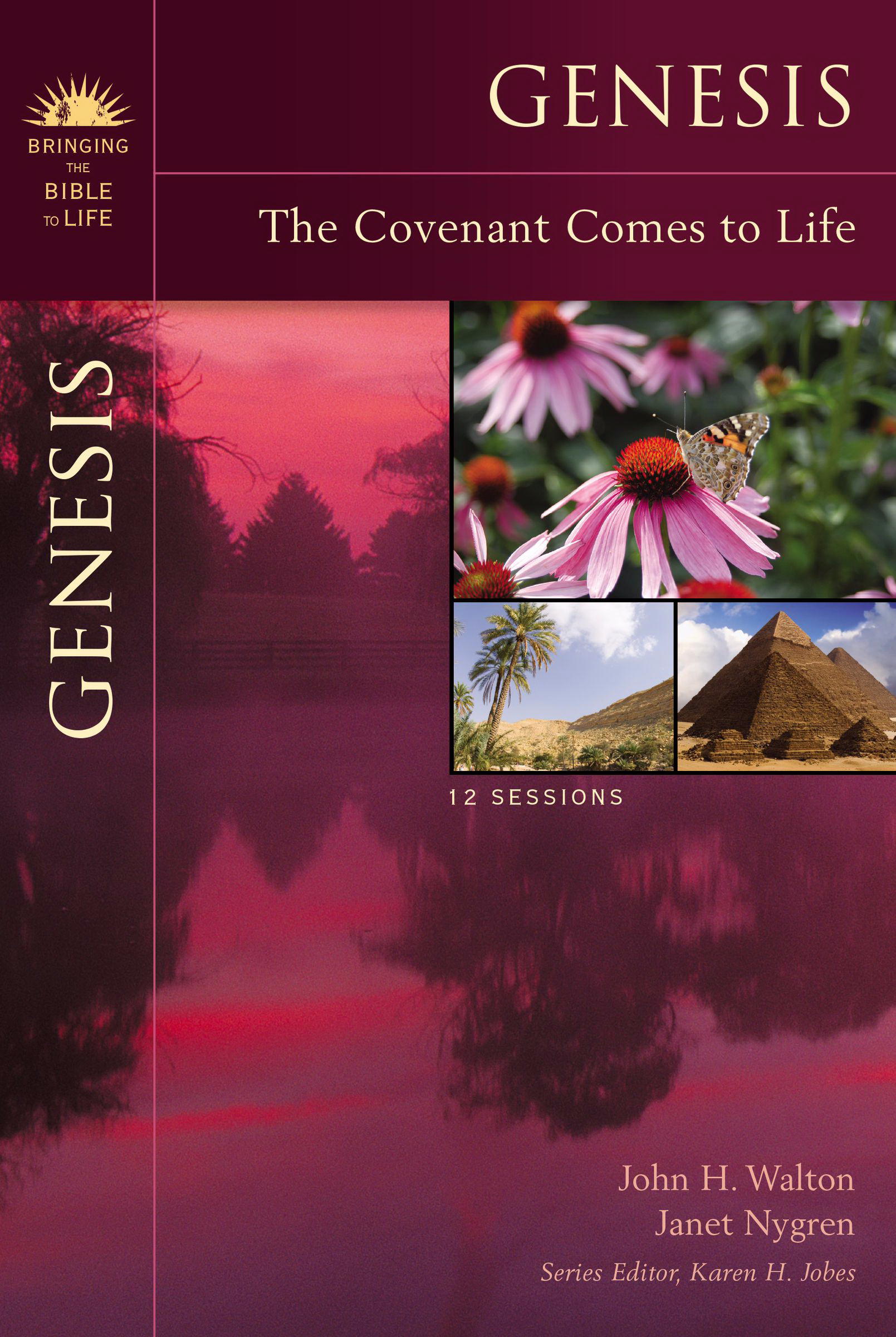 Genesis By Karen H Jobes Janet Nygren John H Walton (Paperback)