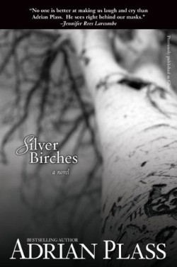 Silver Birches By Adrian Plass (Paperback) 9780310292036