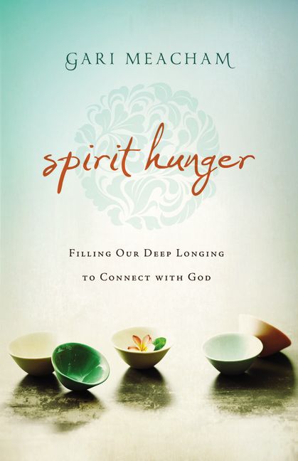 Spirit Hunger By Gari Meacham (Paperback) 9780310309000