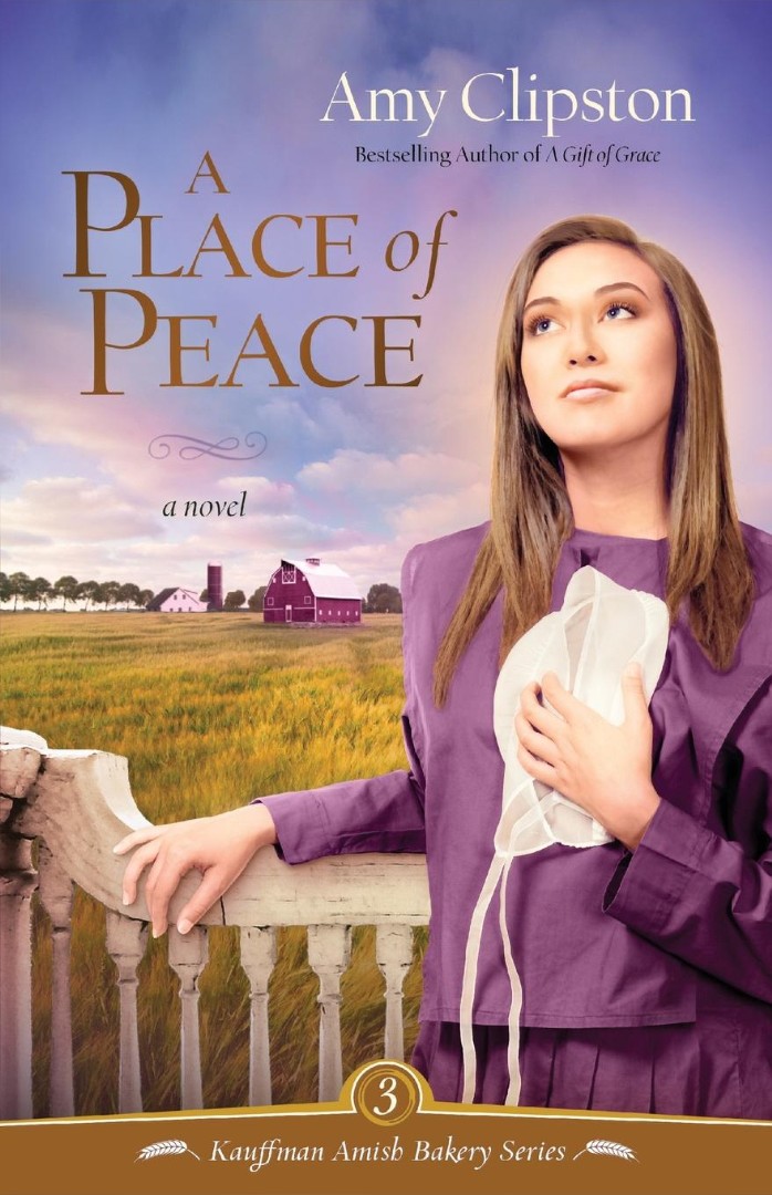 A Place of Peace By Amy Clipston (Paperback) 9780310319955