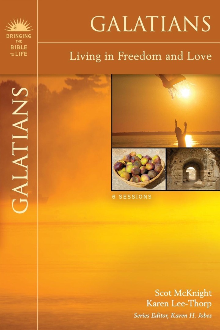 Galatians By Karen Lee-Thorp Scot Mc Knight (Paperback) 9780310320456