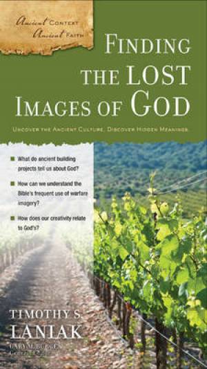 Finding The Lost Images Of God By Timothy S Laniak (Paperback)