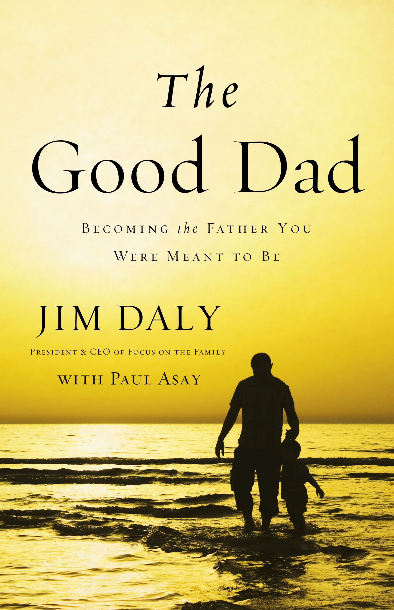 The Good Dad By Jim Daly (Paperback) 9780310331797