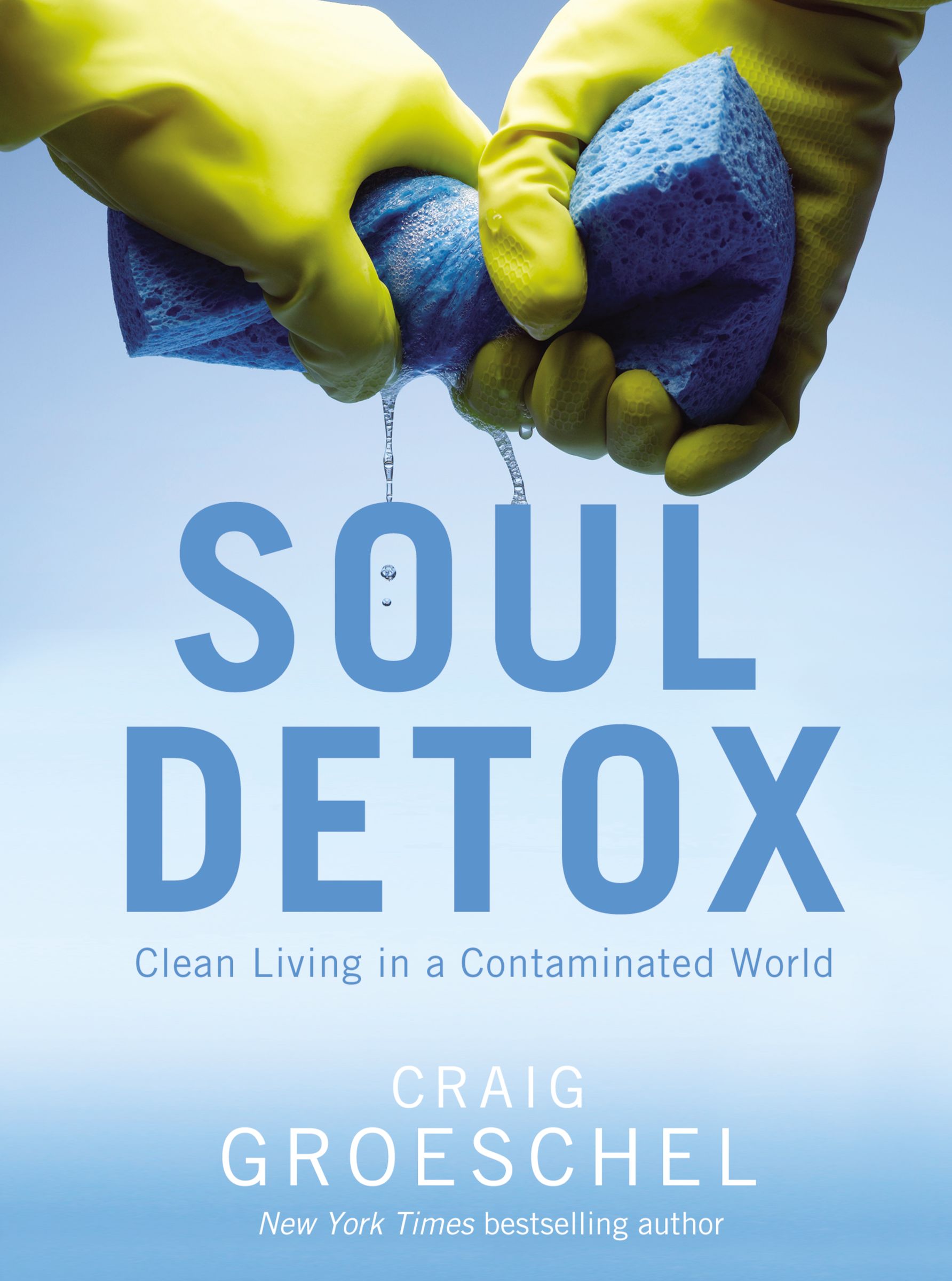 Soul Detox By Craig Groeschel (Paperback) 9780310333821