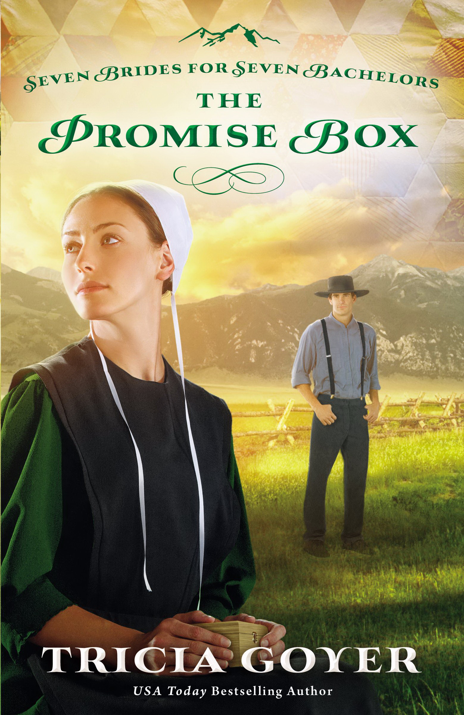 The Promise Box By Tricia Goyer (Paperback) 9780310335122