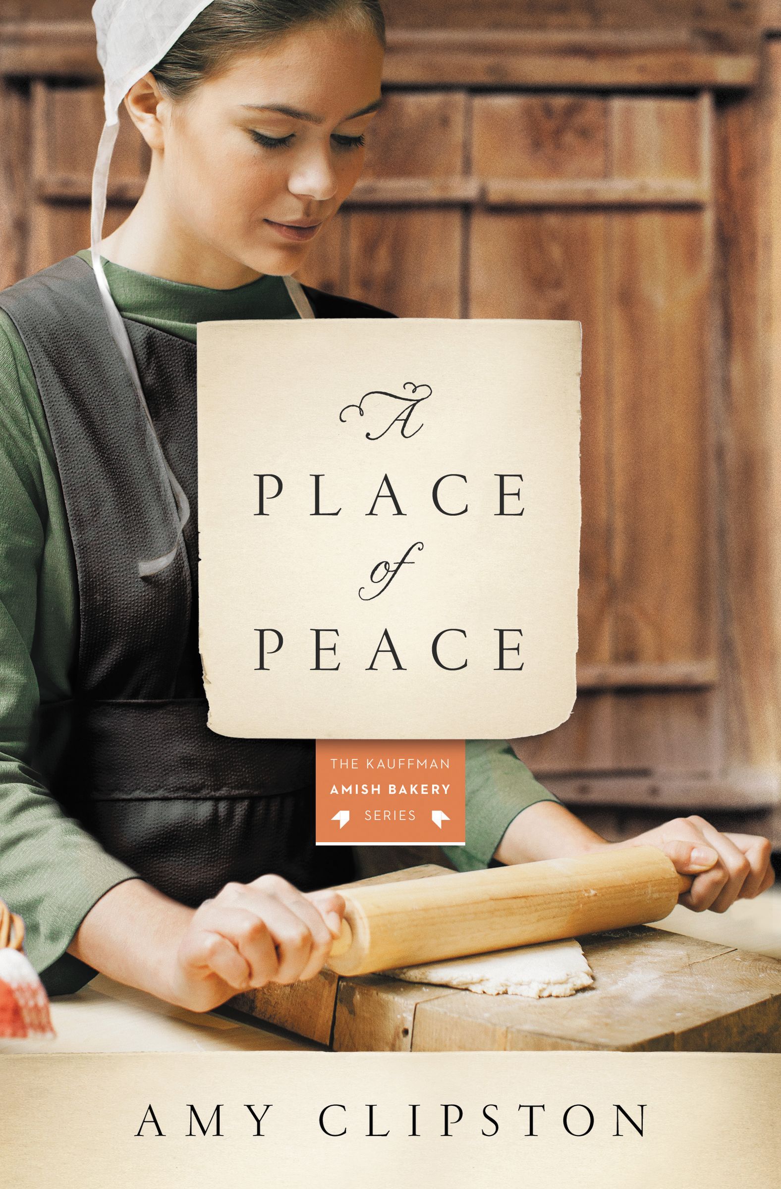 A Place of Peace By Amy Clipston (Paperback) 9780310344216