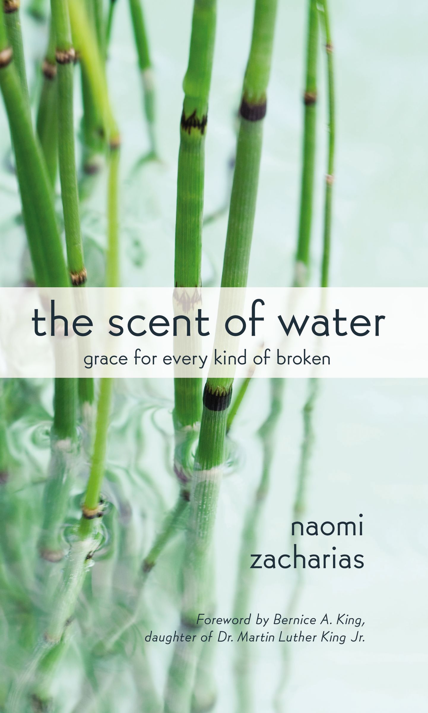 The Scent of Water By Naomi Zacharias (Paperback) 9780310350088