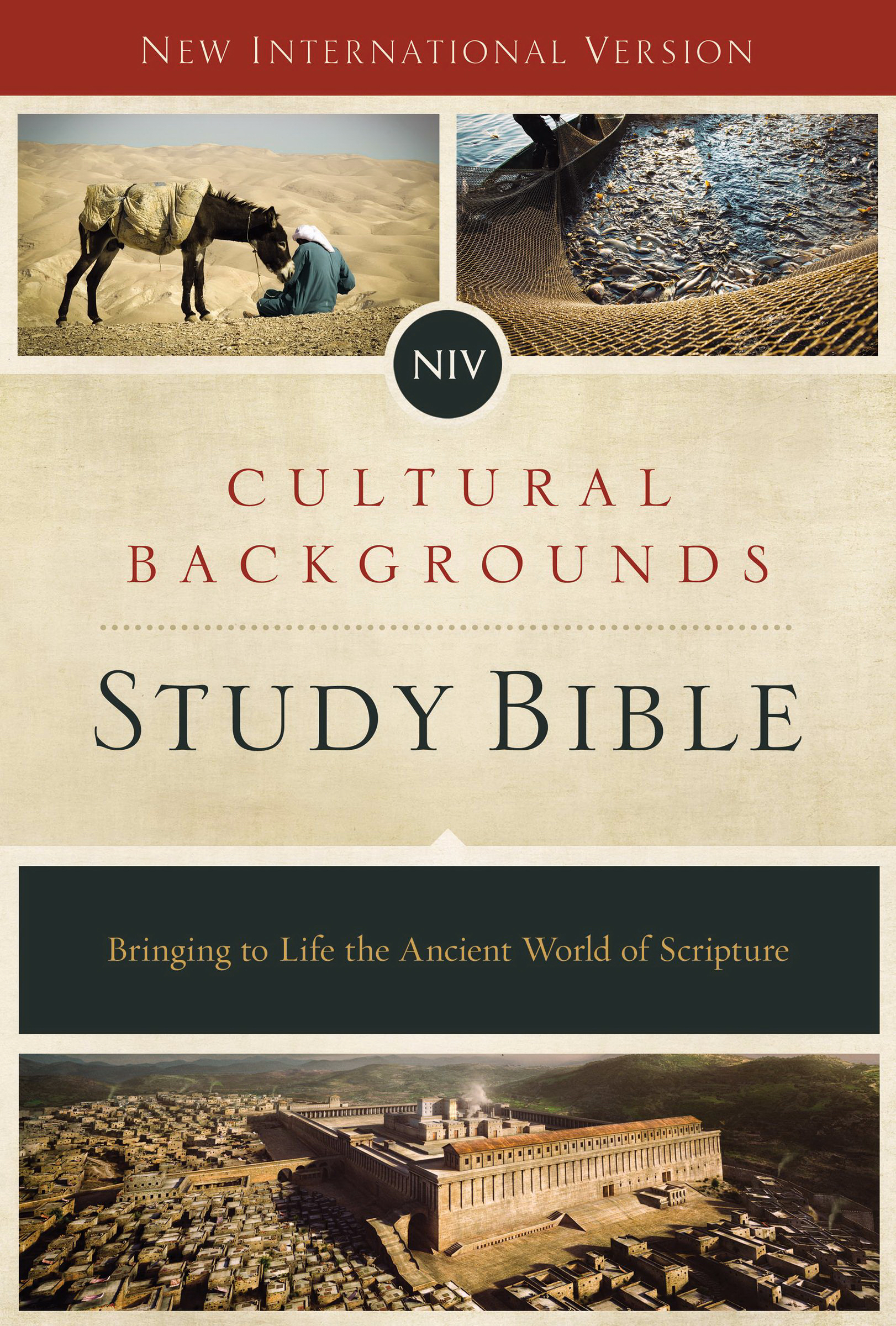 NIV Cultural Backgrounds Study Bible Red Letter Edition (Hardback)