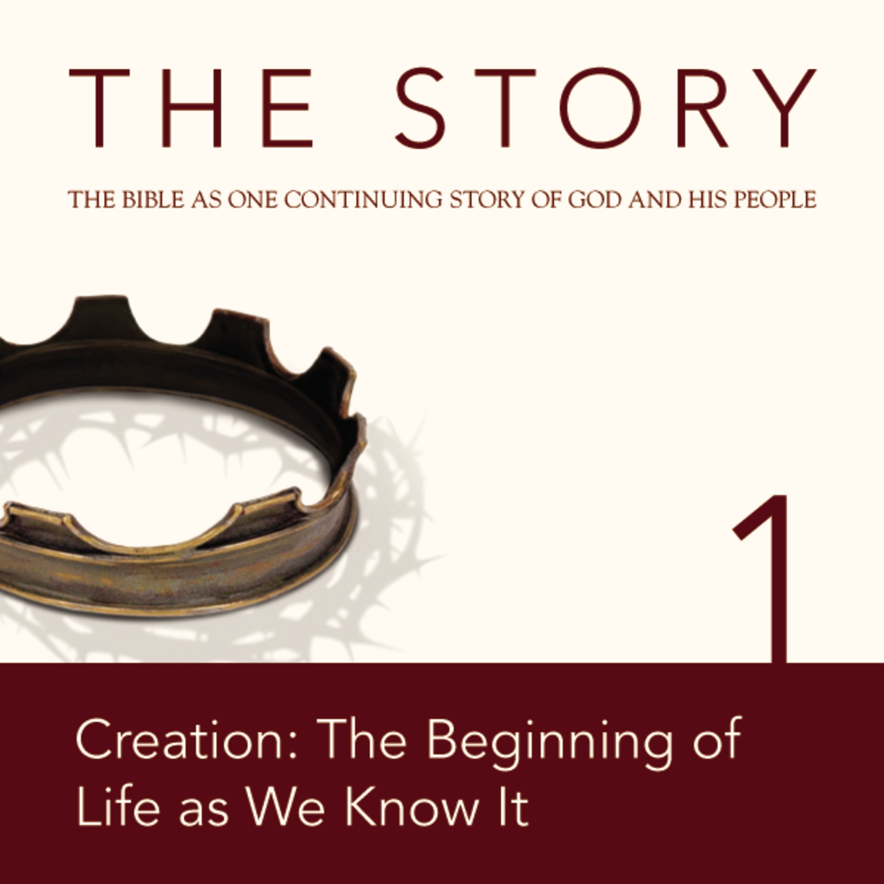 Story Audio Bible - New International Version, NIV: Chapter 01 - Creation: The Beginning of Life as We Know It