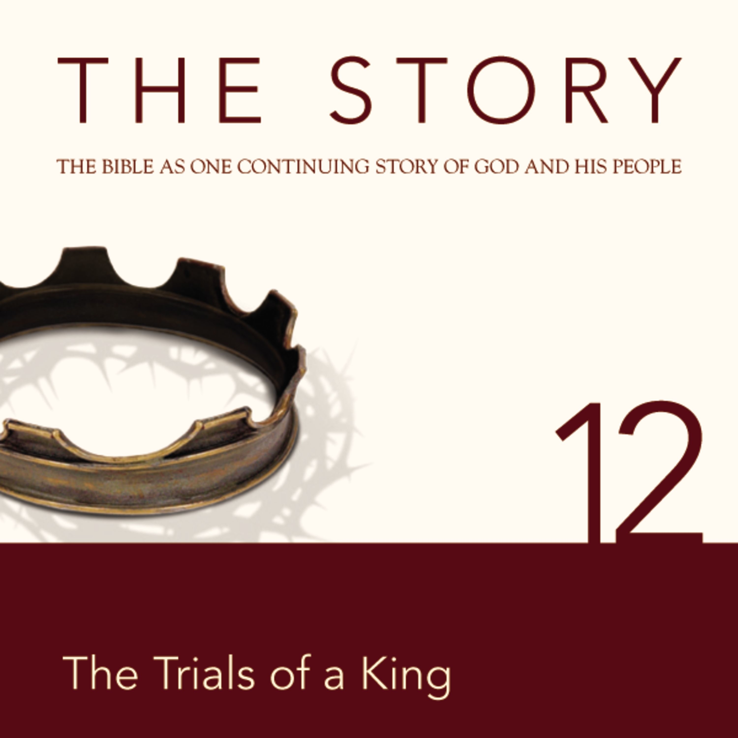 Story Audio Bible - New International Version, NIV: Chapter 12 - The Trials of a King