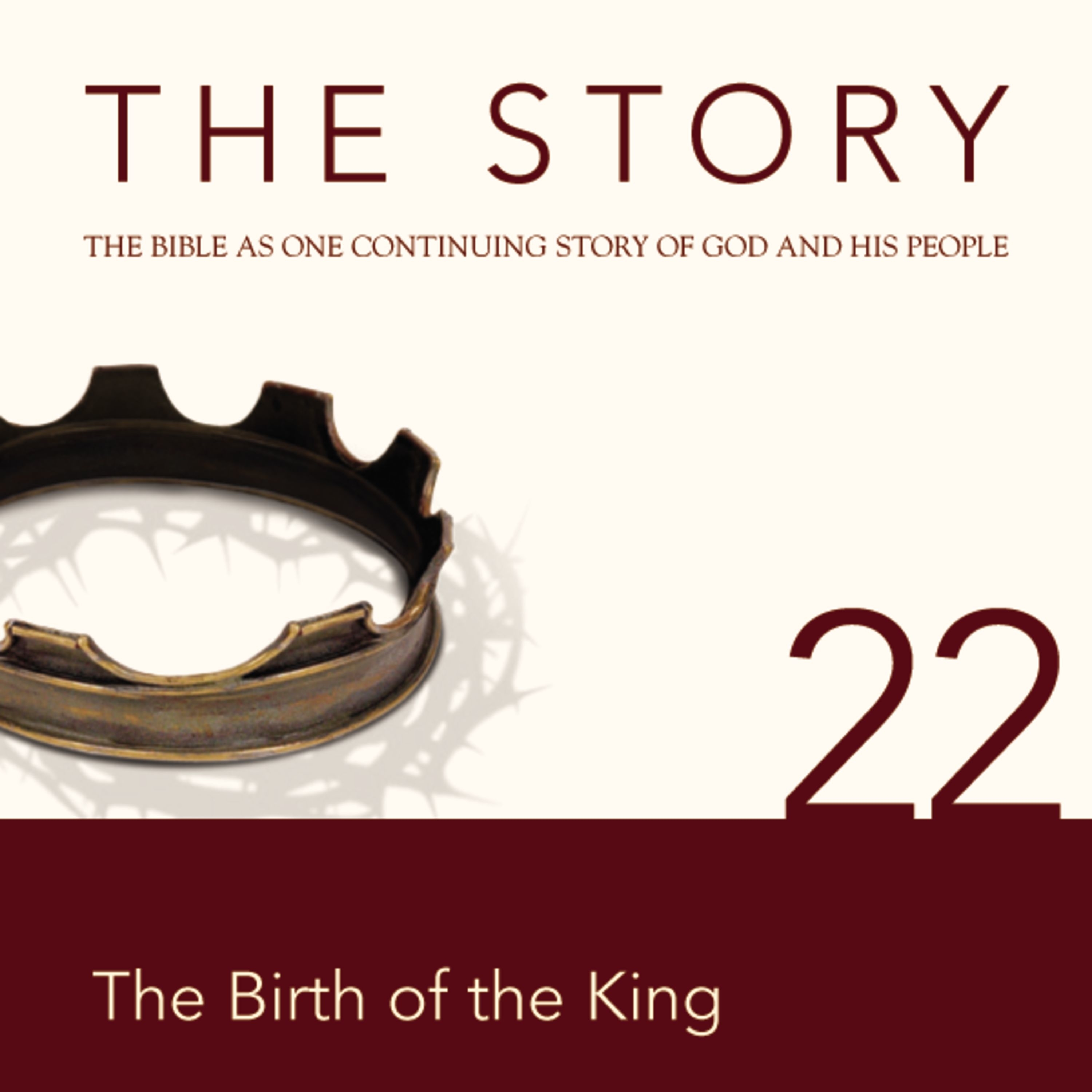 Story Audio Bible - New International Version, NIV: Chapter 22 - The Birth of the King