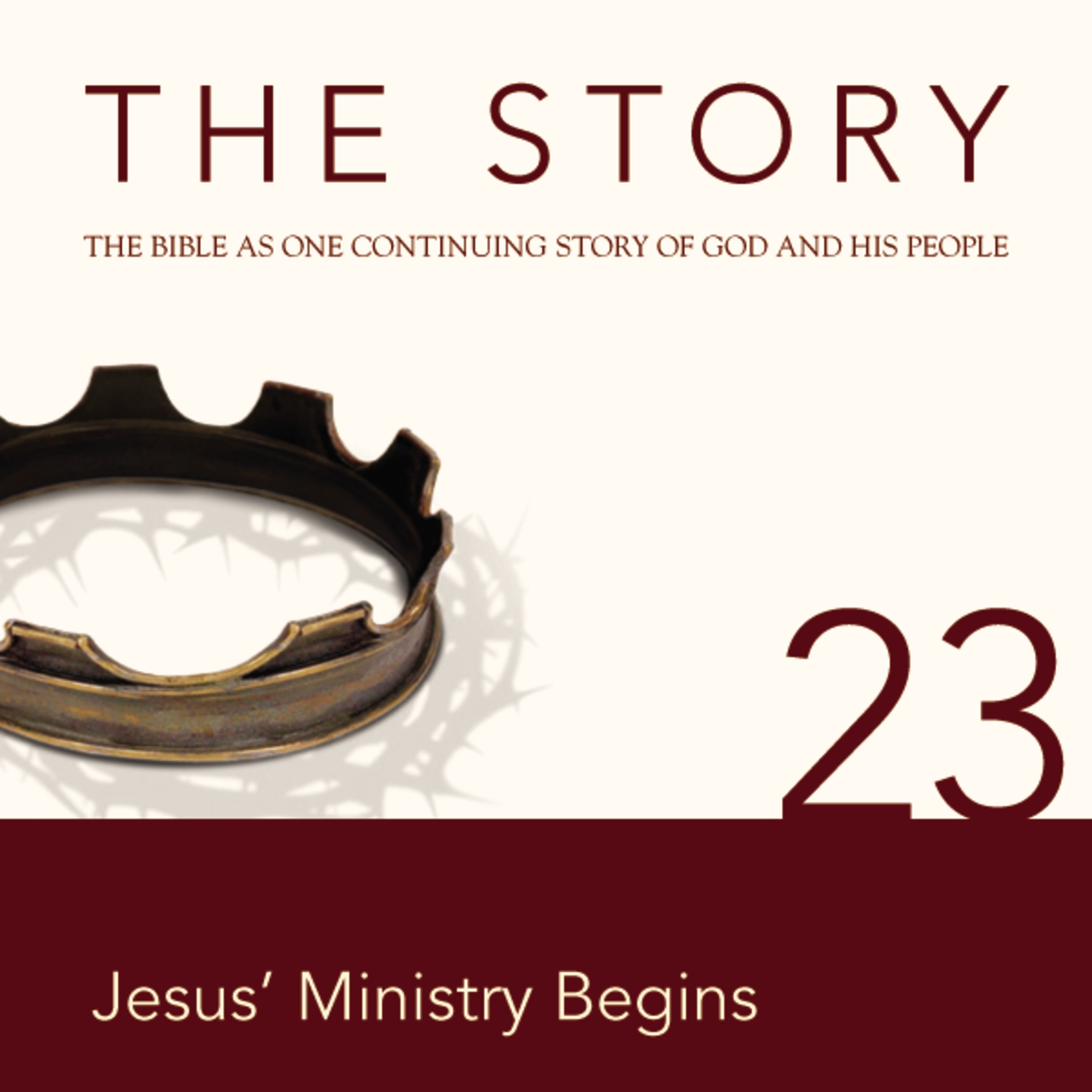 Story Audio Bible - New International Version, NIV: Chapter 23 - Jesus' Ministry Begins