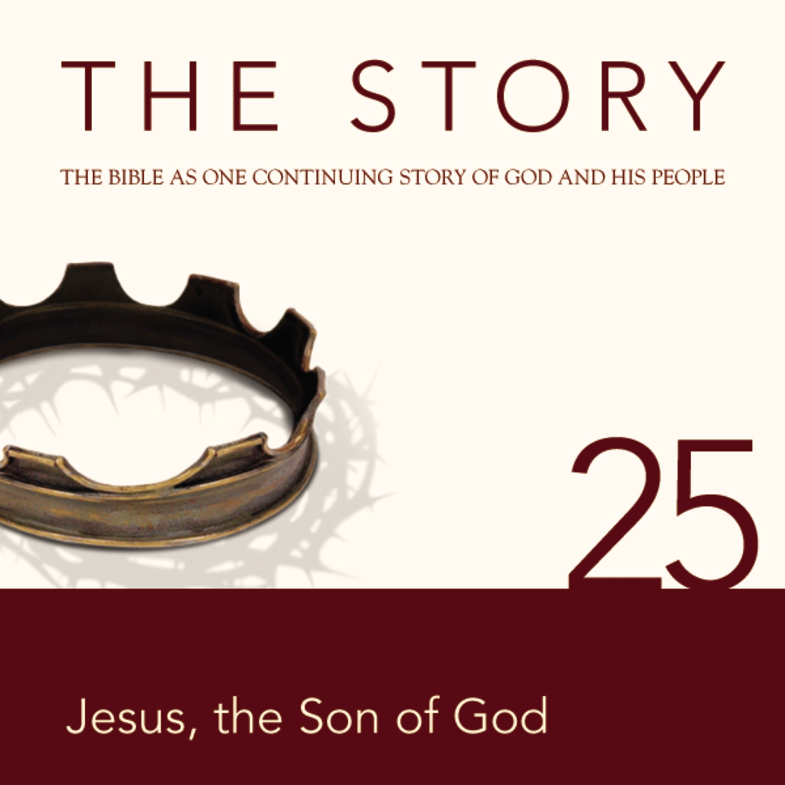 Story Audio Bible - New International Version, NIV: Chapter 25 - Jesus the Son of God