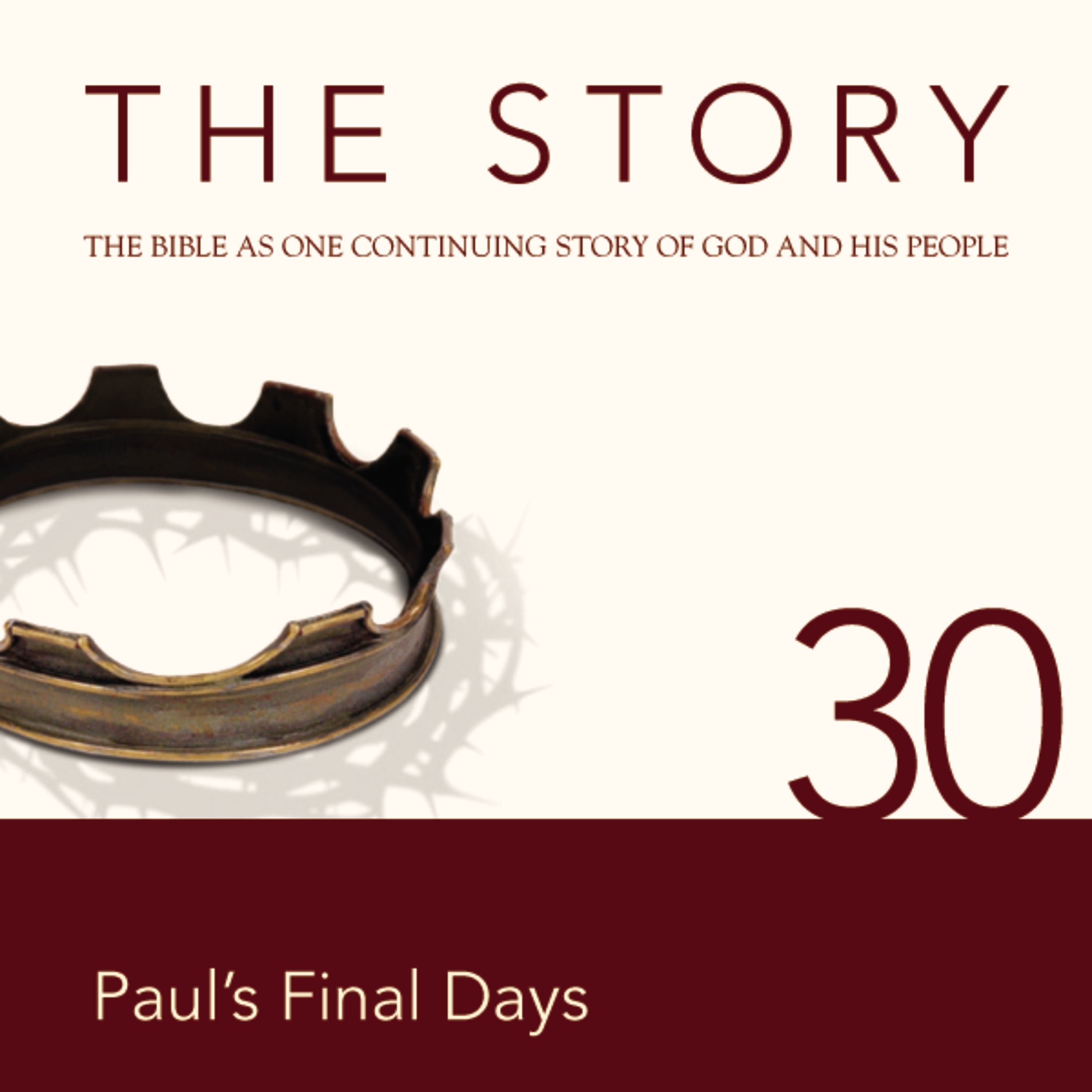 Story Audio Bible - New International Version, NIV: Chapter 30 - Paul's Final Days