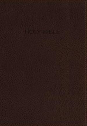 NIV Foundation Study Bible Imitation Leather Brown Indexed Red Le