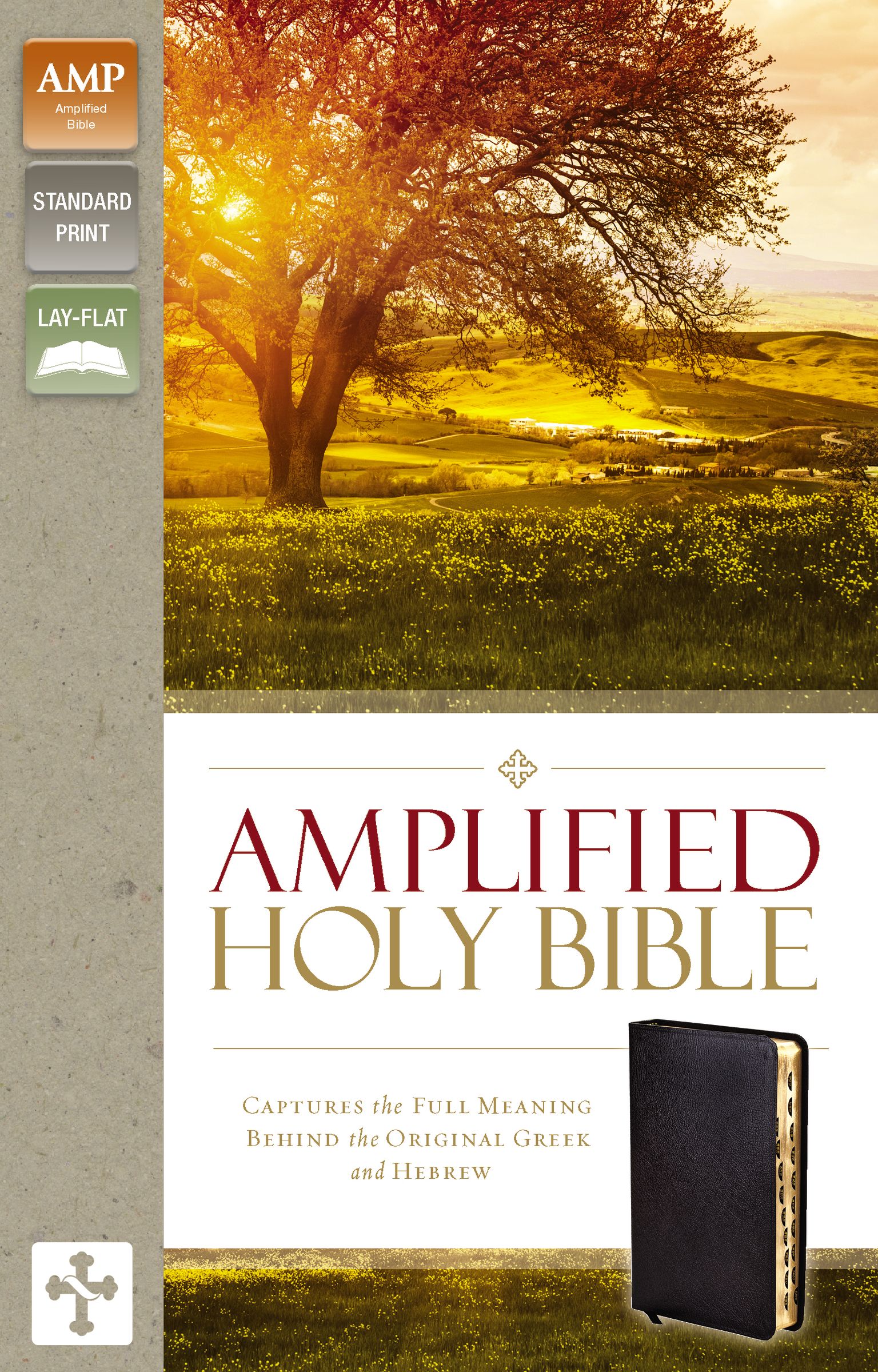 Amplified Thinline Holy Bible Thumb Indexed Silver Edges (Leather)