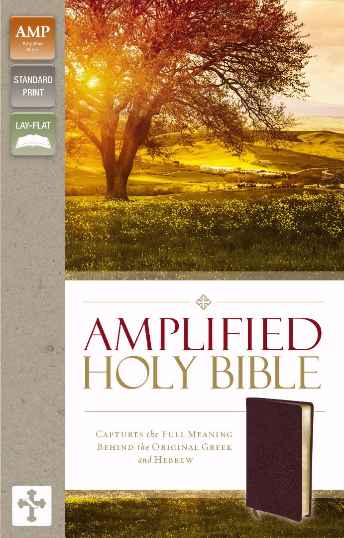 Amplified Thinline Bible Burgundy Bonded Leather Translation Introd