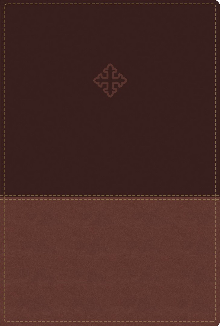 Amplified Study Bible Imitation Leather Brown Indexed By Zondervan