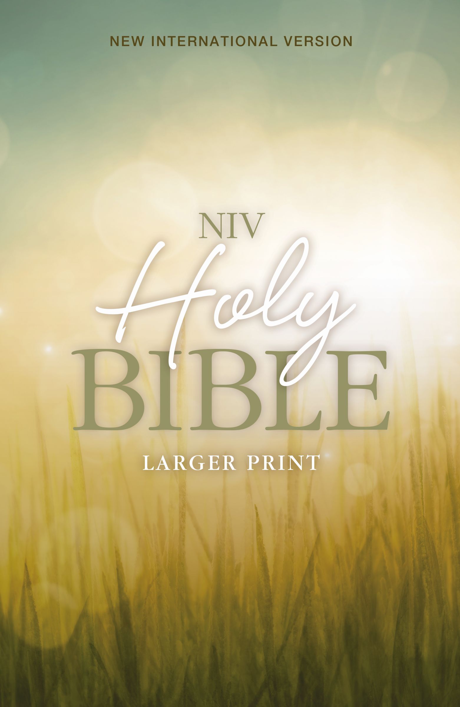 holy-bible-niv-free-delivery-when-you-spend-10-eden-co-uk