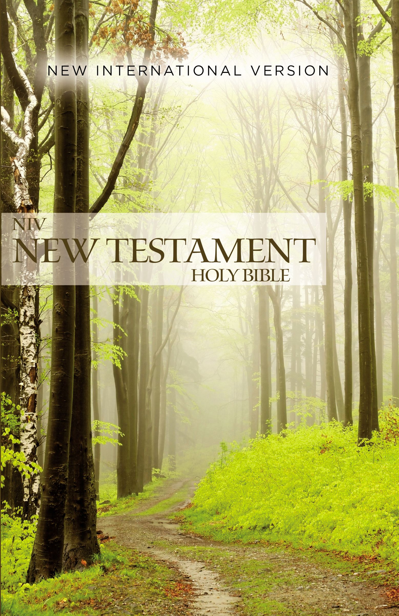 Outreach New Testament-NIV By Zondervan (Paperback) 9780310446392